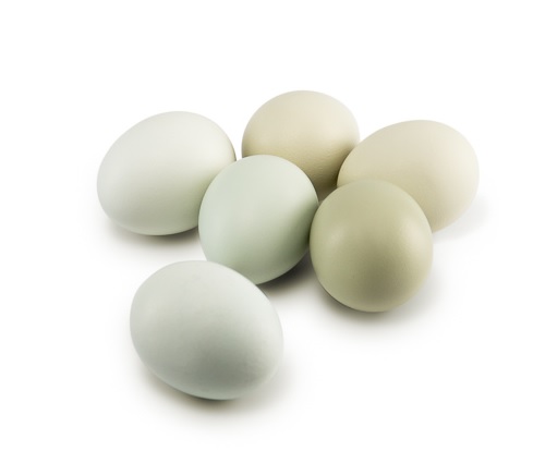 картинка Яйцо куриное, зелёное, m2, 10 шт от интернет-магазина BIEN Organic