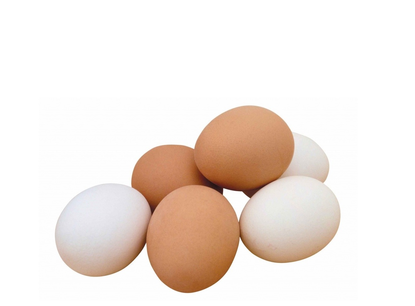 картинка Яйцо куриное от интернет-магазина BIEN Organic