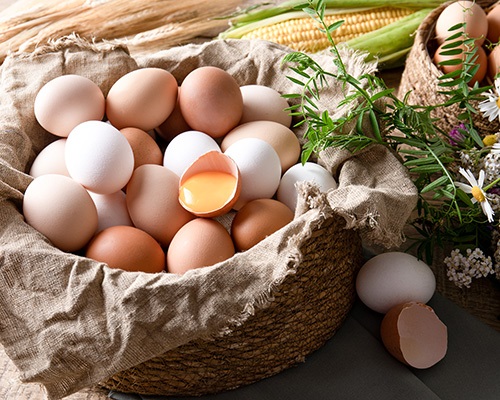 картинка Яйцо куриное, С1 от интернет-магазина BIEN Organic